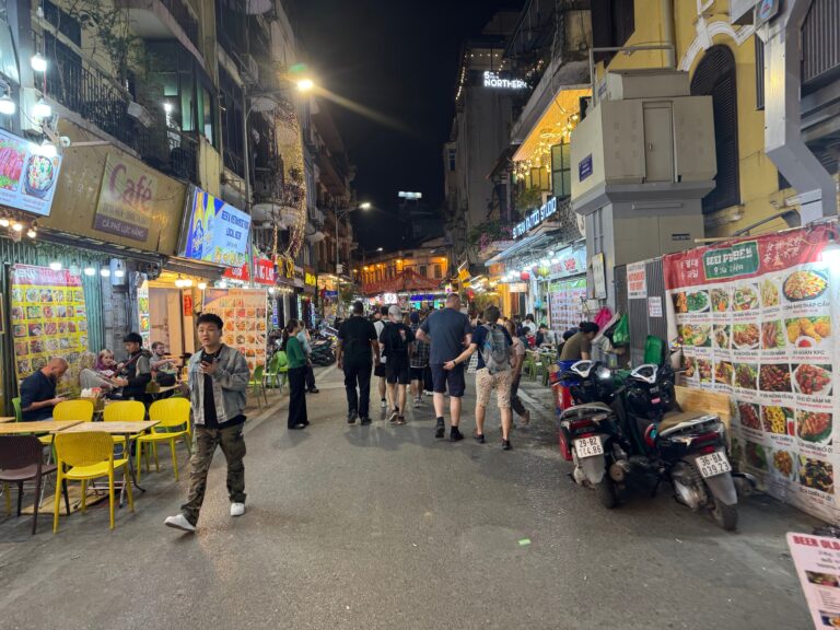 ハノイ調査の特徴