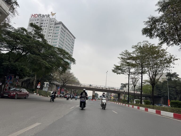 ベトナム北部を含めた調査対応